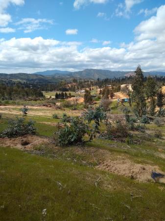 VENTA DE PARCELA 