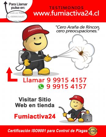 EXTERMINAR ARAÑA DE RINCON EN SANTIAGO