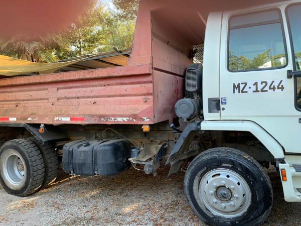 CAMION FORD