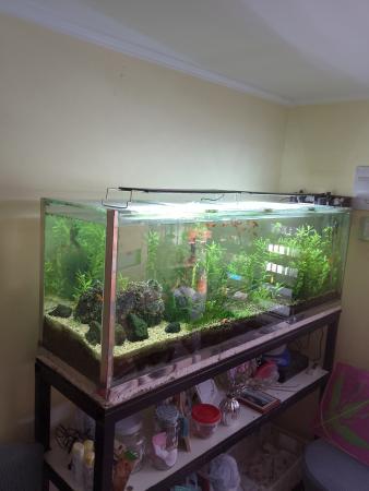 SE VENDE ACUARIO DE 300 LITROS 