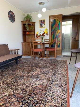 ARRIENDO POR DIA DEPARTAMENTO VIÑA DEL MAR 
