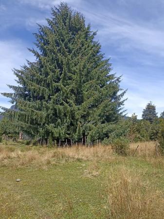 PROPIEDAD EN LAGO CHAPO, PUERTO MONTT.