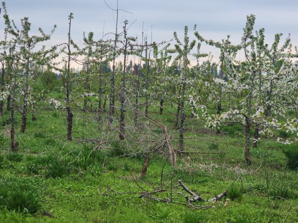 INVIERTE EN TU FUTURO VENTA DE TERRENO