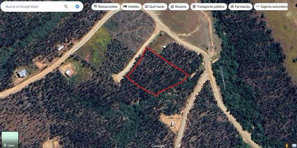 PARCELA TERRENO 5000 MT2, PAREDONES