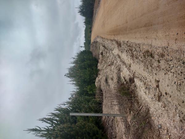 VENDO PARCELA UNA HECTÁREA CAMINO A LA PLAYA 