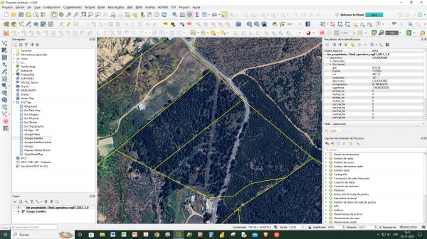 VENDO 7,4 HA DE TERRENO CON PLANTACIÓN DE PINO 