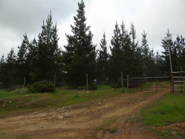 PARCELAS SEXTA REGIÓN CON AGUA Y LUZ