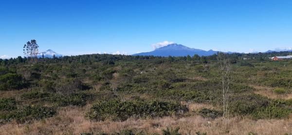 VENTA DE PARCELA EN PUERTO MONTT