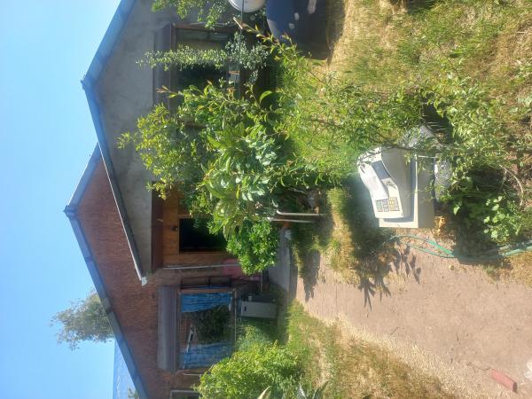 TERRENO CON CASA 500MT2 CERCANO AL CENTRO DE PUENTE