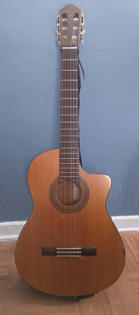 GUITARRA ELECTROACÚSTICA WALDEN NATURA