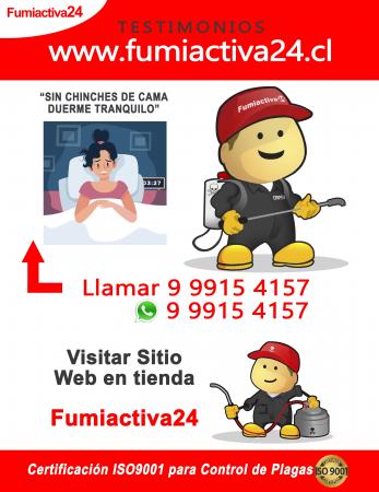 ELIMINAR CHINCHES EN LA CISTERNA