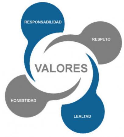 PRÁCTICA PROFESIONAL PARA CONTADORES