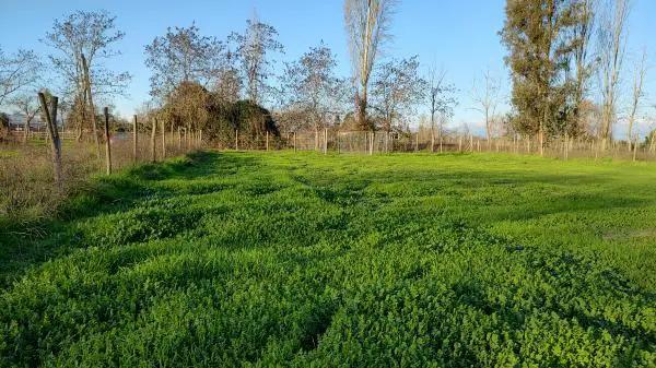 OPORTUNIDAD TERRENO DE AGRADO 