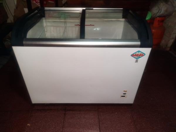 CONGELADORA MAIGAS 285 LTS