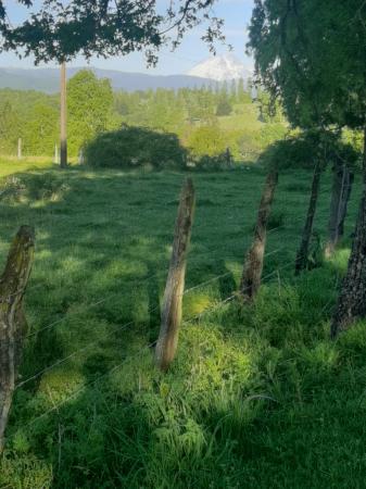 SE VENDE  TERRENO DE 5000 M2 RADALCO