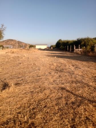 VENTA PARCELA 5000 MTS 2