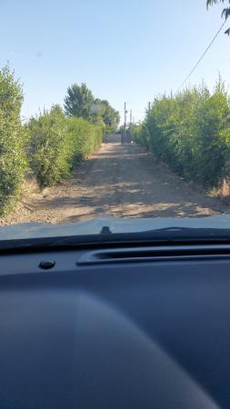SE ARRIENDAN TERRENOS URBANOS 
