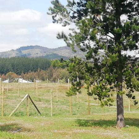 TERRENO SITIO CAMPO CAMPITO DE 5300 M2, EN FLORIDA