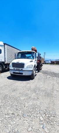POR TERMINO DE FAENA VENDO CAMION PLUMA 