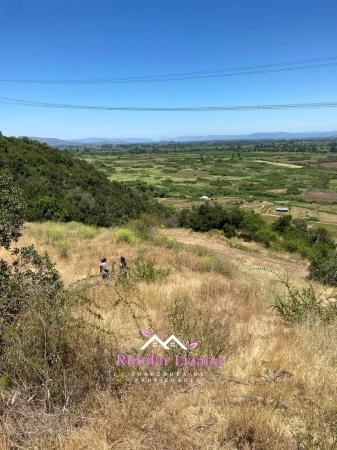 PARCELA DE AGRADO TENO - LA MONTAÑA SAN CARLOS