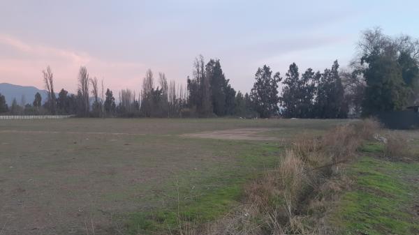 VENTA PARCELA 5.000 MTS