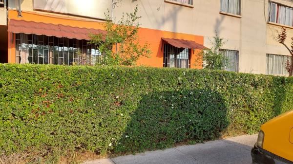  VENTA LINDO  DEPARTAMENTO