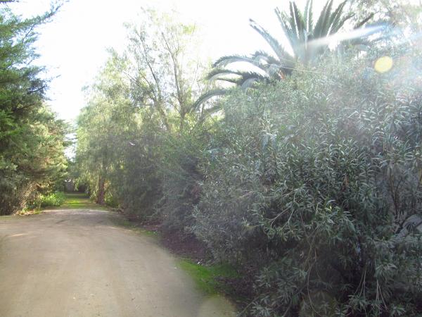 SE VENDE HERMOSO TERRENO DE 2.372,24 MTRS2..