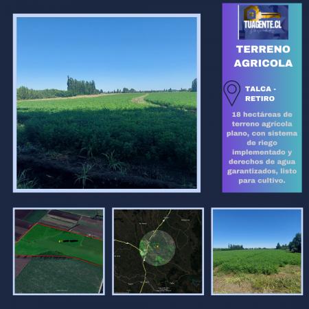SE VENDE CAMPO AGRÍCOLA EN EL RETIRO, TALCA  19