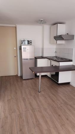ARRIENDO BELLO DEPTO. EST. CENTRAL 