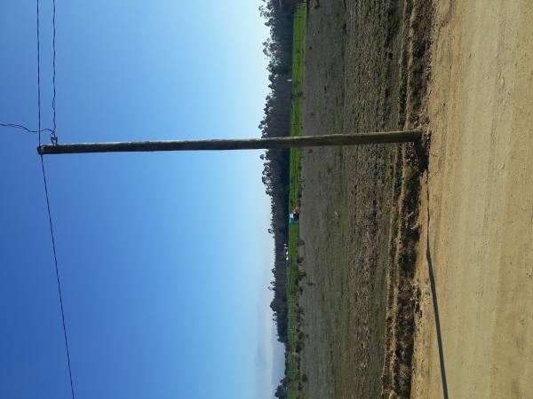 SE VENDE PARCELA 5000MT2 LITUECHE SECTOR PICAFLOR