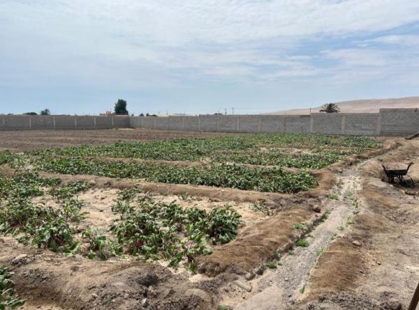 VENTA DE TERRENOS DE 5000 M2