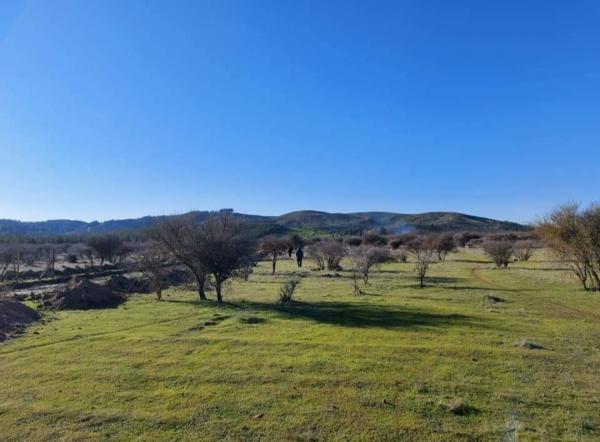 VENTA DE TERRENO EN CAUQUENES REGIÓN DEL MAULE 