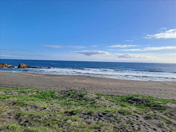 SE VENDEN SITIOS FRENTE A PLAYA, CARDONAL