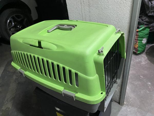 CANIL GATO O PERRO PEQUEÑO