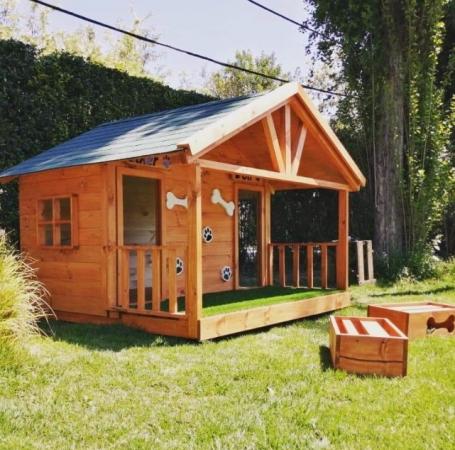 CASA DE PERRO