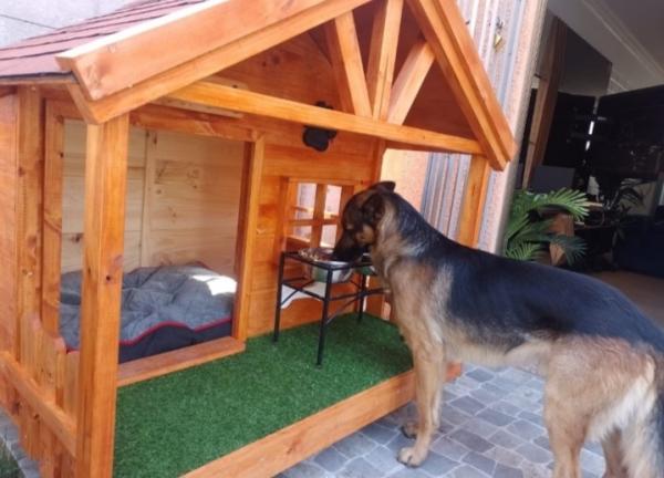 CASA DE PERRO DE MADERA