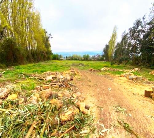 HERMOSA PARCELA EN CHIMBARONGO 