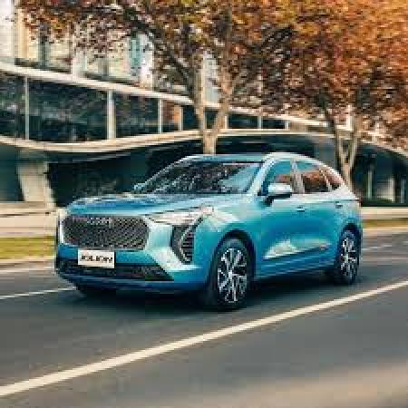 VENDO HAVAL JOLION POR URGENCIA
