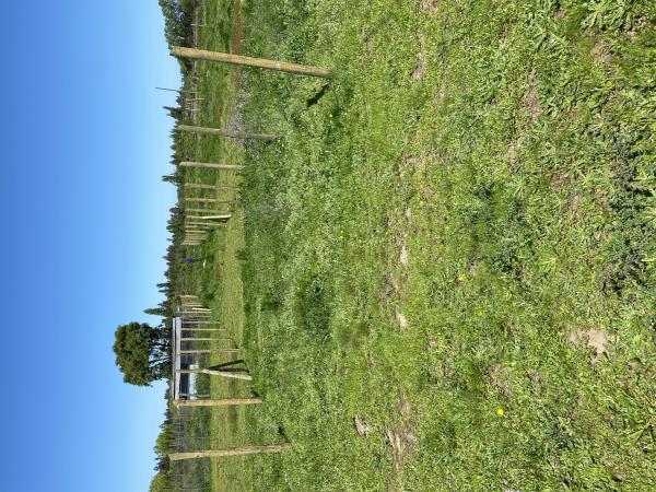 VENDO TERRENO EN ALTO LLOLLINCO - PASO CUÑAO