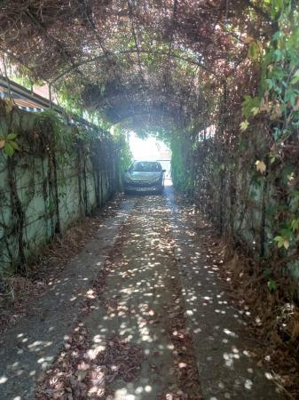 ARRIENDO CASA EN RASTRAS TALCA