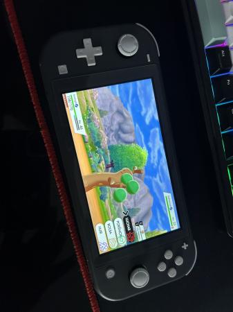 NINTENDO SWITCH LITE