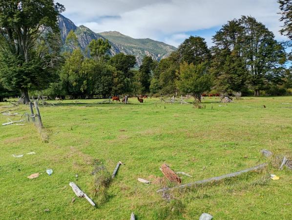 PARCELAS SUR DE CHILE