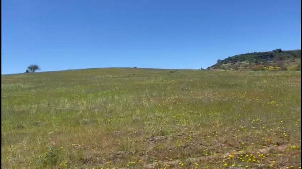 PARCELA 5000MTS2 LOS BOLDOS DE LITUECHE 