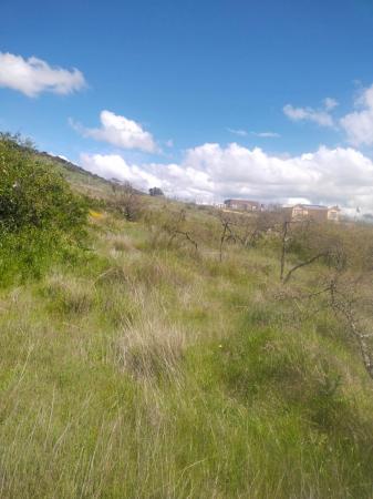 TERRENO 5000MTS2 LITUECHE 