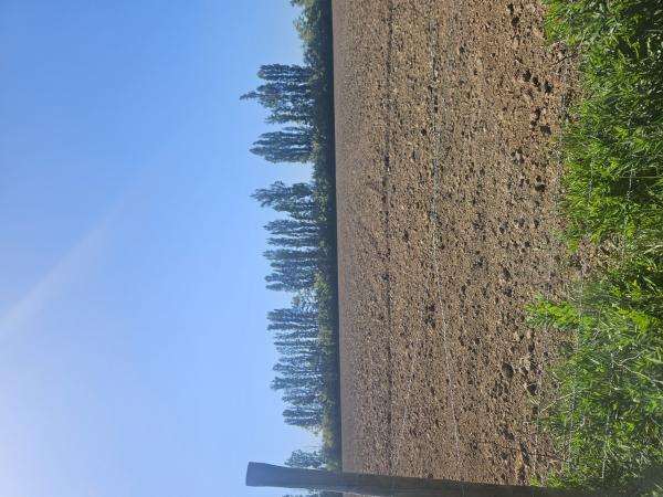 VENDO PARCELAS DE 5000 M2  LONGAVÍ