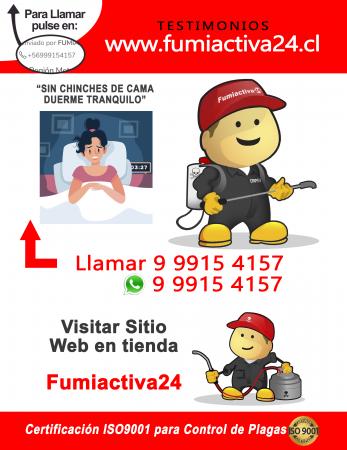 Exterminar Chinches De Cama En Santiago