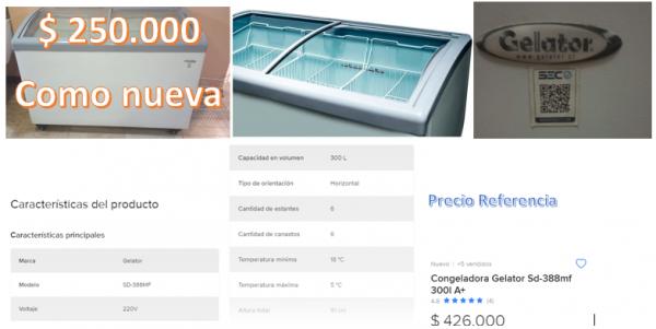 CONGELADORA COMO NUEVA 