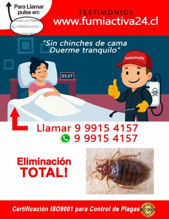 Eliminar Chinches /ver Testimonios