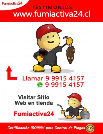Stop Ratones/testimonios Fumiactiva24-