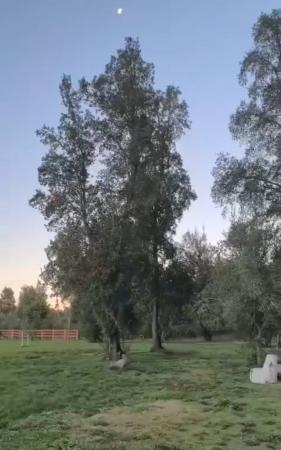 Venta,  Fundo San Diego, Credito Directo
